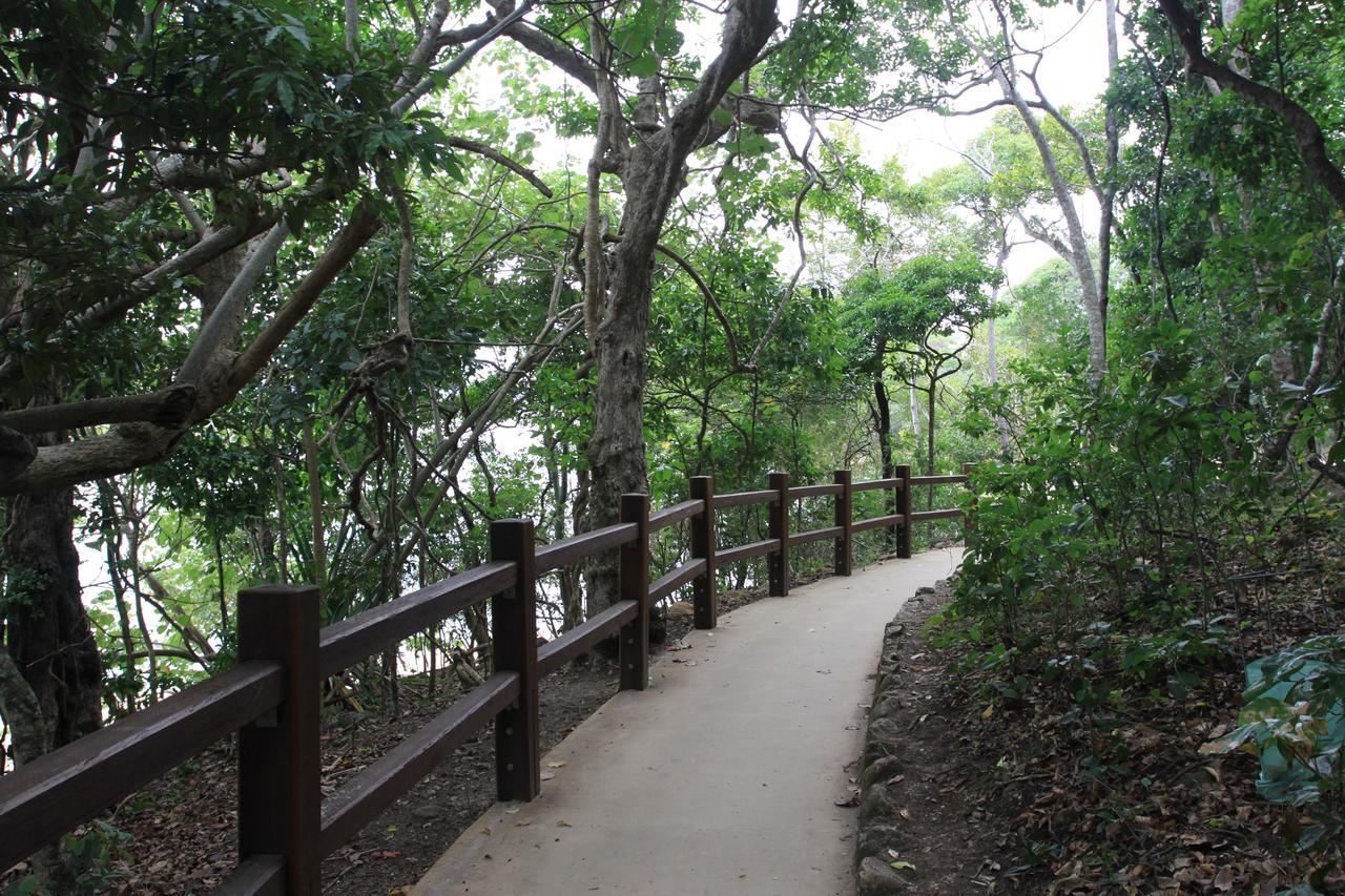 Koala Cove Holiday Apartments โกลด์โคสต์ ภายนอก รูปภาพ