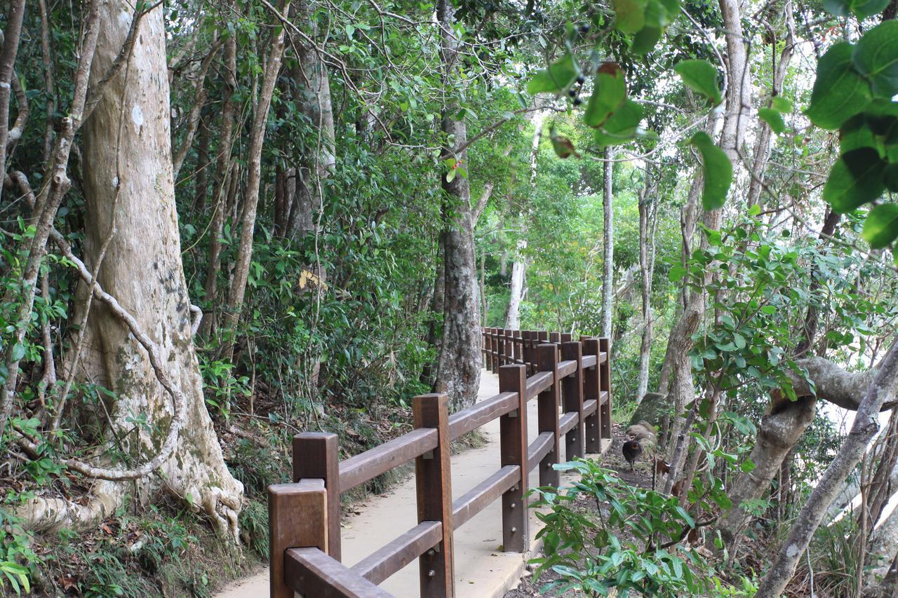 Koala Cove Holiday Apartments โกลด์โคสต์ ภายนอก รูปภาพ